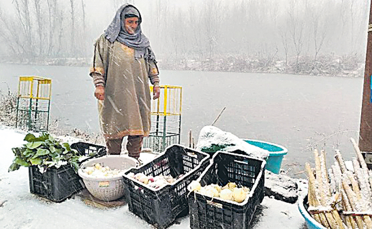 Dal-Lake-Woman-1.jpg