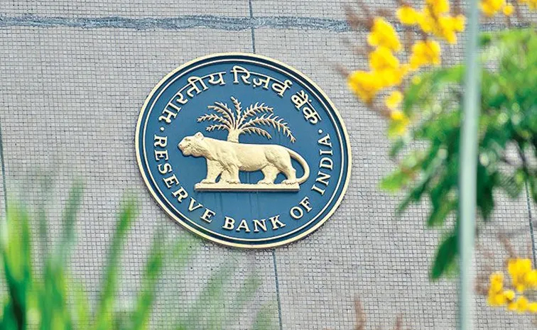 rbi01.jpg