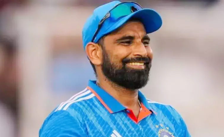 shami2.jpg