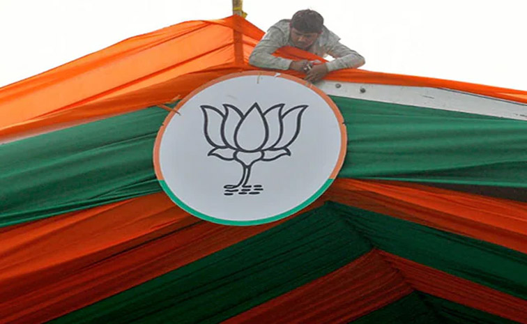 bjp-main.jpg