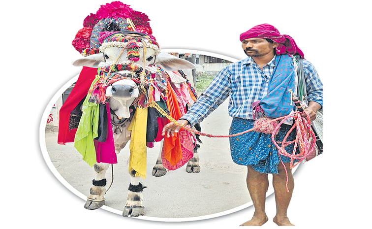 gangireyddu-111.jpg