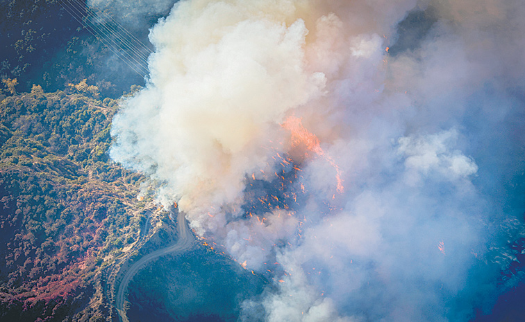 120120251843-CALIFORNIA-WIL.jpg