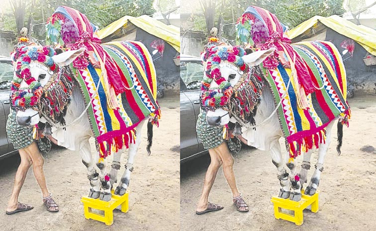 Gangireddu.jpg