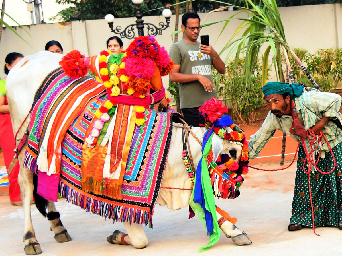 Sankranti10.jpg 10
