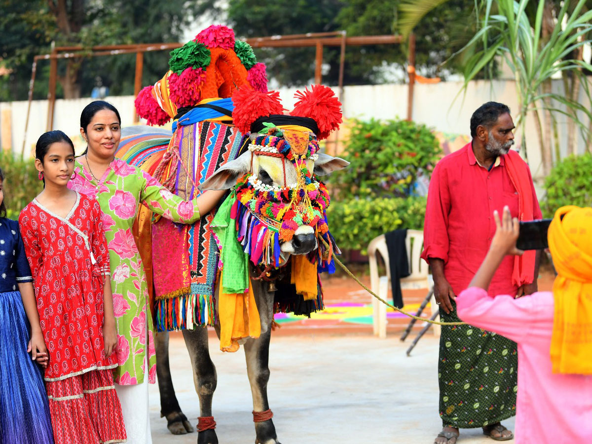 Sankranti12.jpg 12