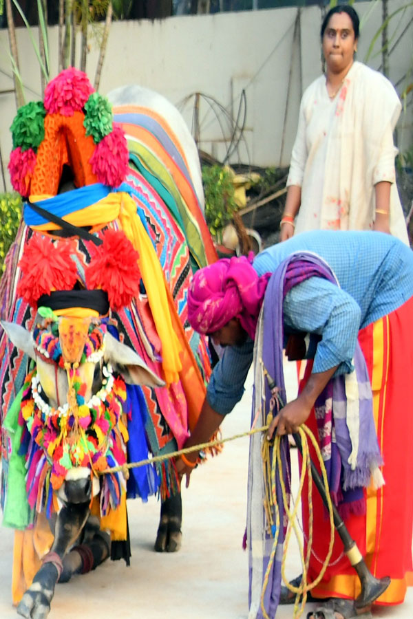 Sankranti13.jpg 13