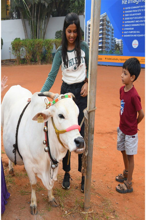 Sankranti7_0.jpg 7