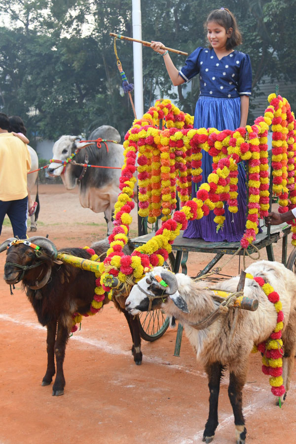 Sankranti9.jpg 9