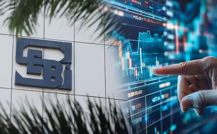 sebi.jpg