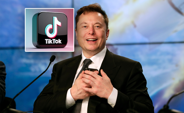 musk01.jpg