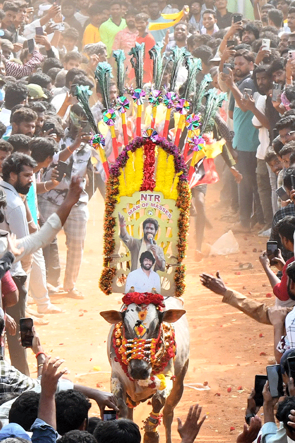 Jallikattu_20Celebrations_20In_20Tirupati_20District_20_285_29.png 16