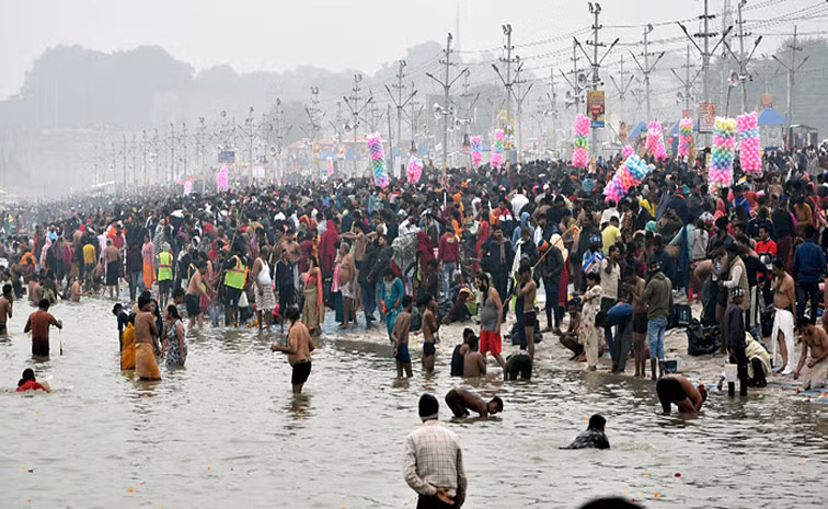 mela-main.jpg