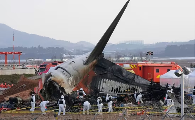 southkoreaflight.jpg