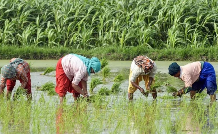 agri01.jpg