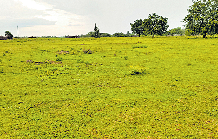 site.jpg