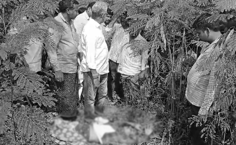 ysrcp.jpg