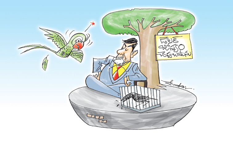 EDITCART18-1-25.jpg