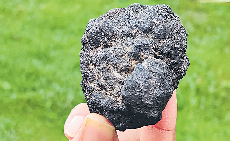 ROCK-NODULE.jpg