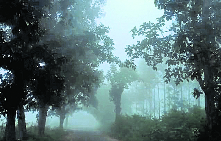 paderu.jpg