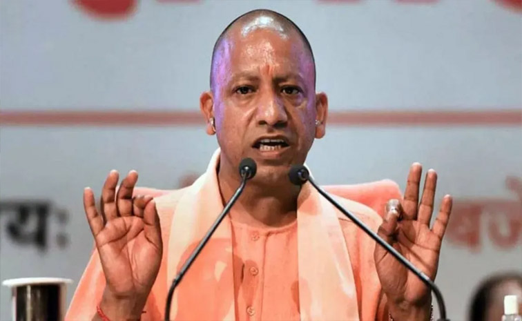 yogi-main.jpg