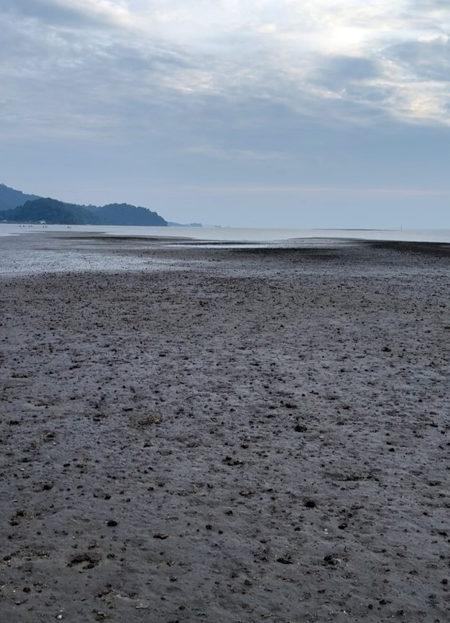 Aiswarya_20lekshmi17.jpg 18