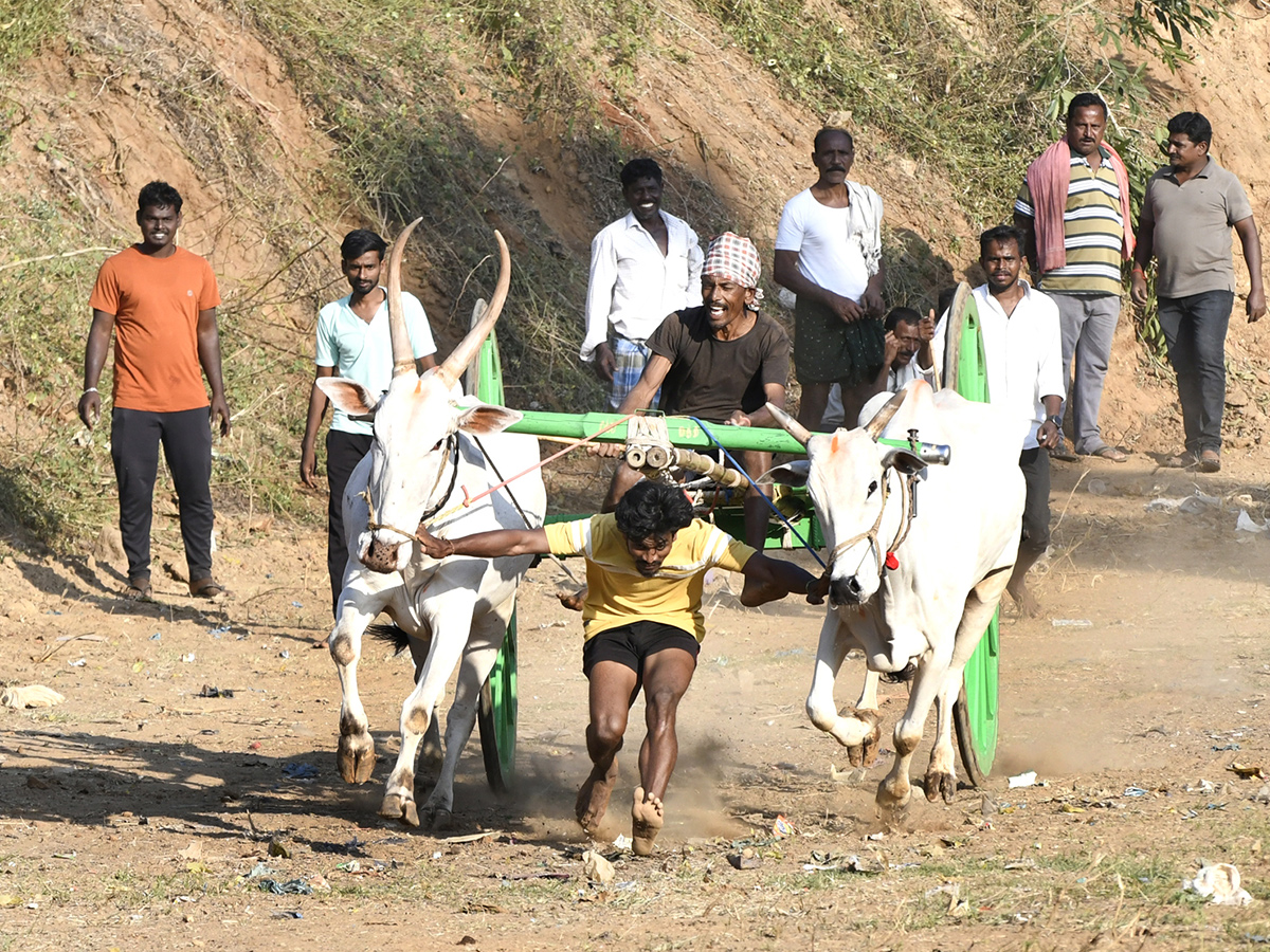 Bull_20Race_20in_20Chowduvada_20village_20Anakapalle_20district__20_2810_29.jpg 10