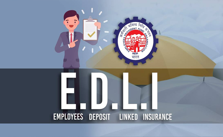 edli01.jpg