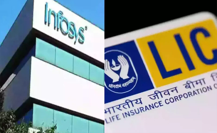 infy01.jpg
