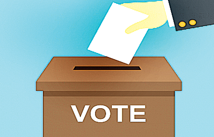 vote.jpg
