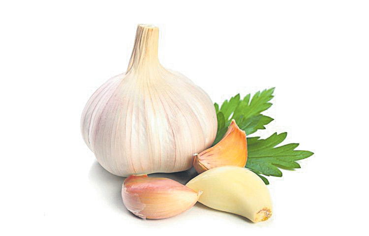 garlic.jpg