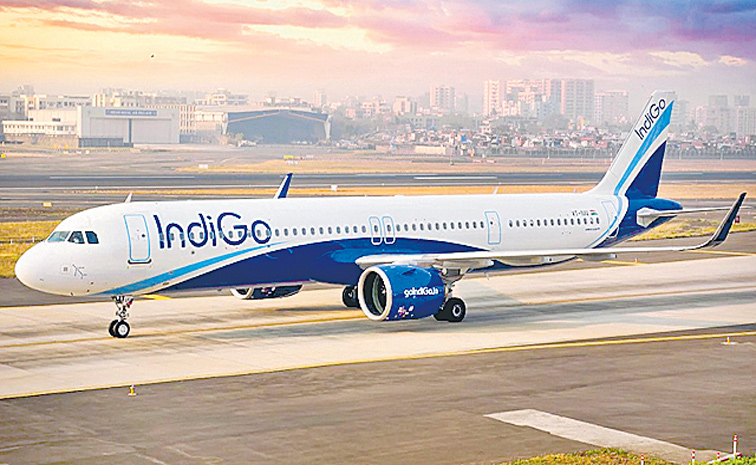 INDIGO.jpg