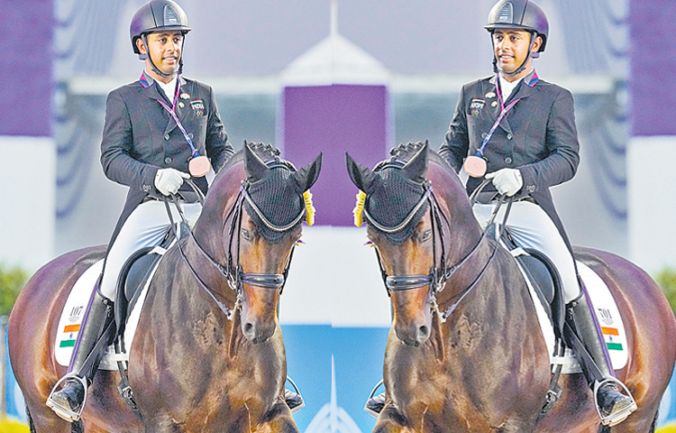horse.jpg