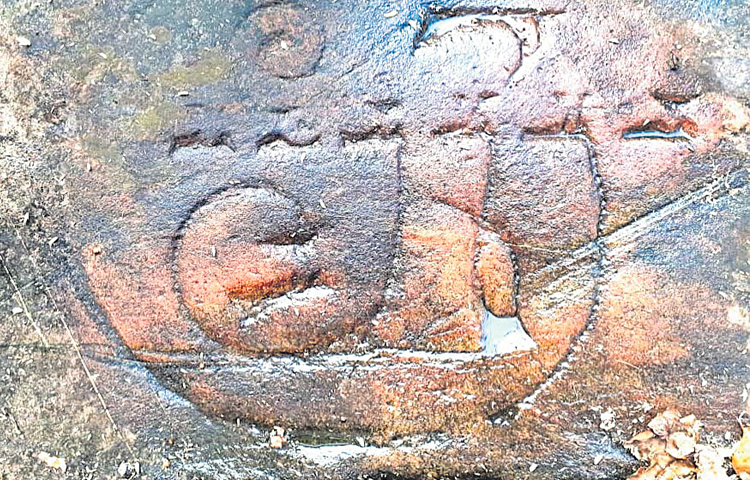 silaa.jpg