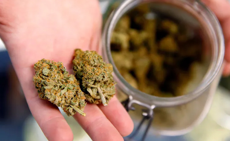 Foreign-Ganja.jpg