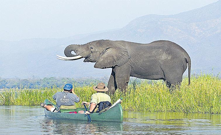 TOURISM.jpg