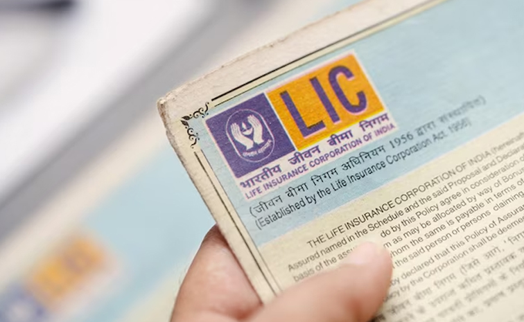 lic.jpg