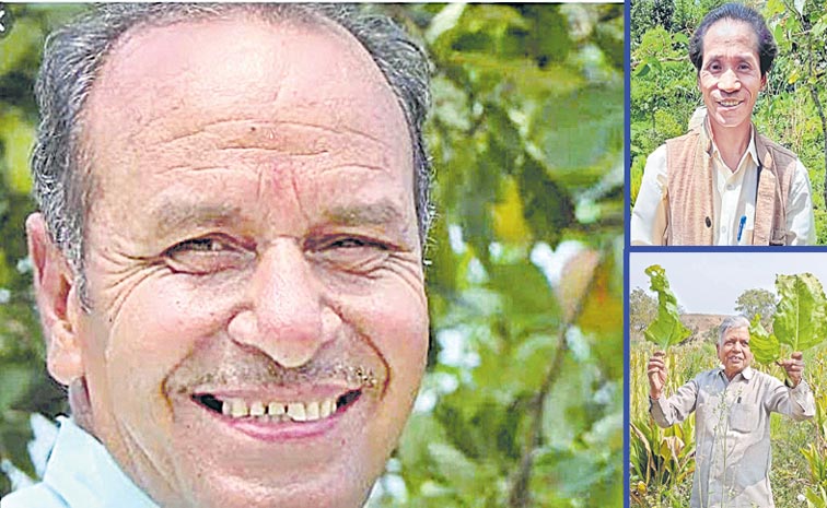 Hariman-Sharma.jpg