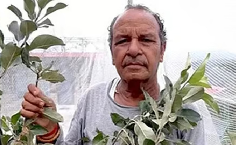 HarimanSharmaapple.jpg