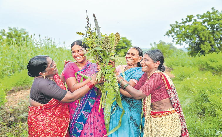 Deccan-Development-Society.jpg