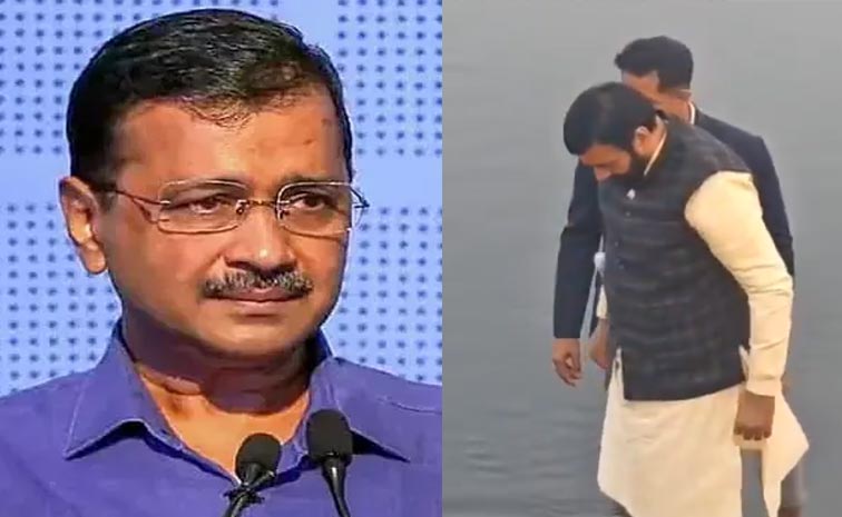Saini.jpg
