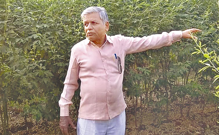 Sakshi-Plus.jpg