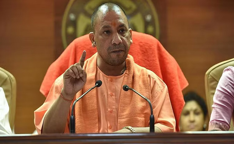 yogi-main.jpg