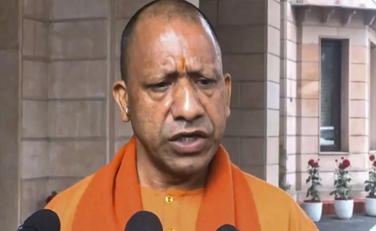 yogi-main.jpg