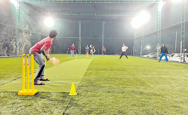 CRICKET-11.jpg