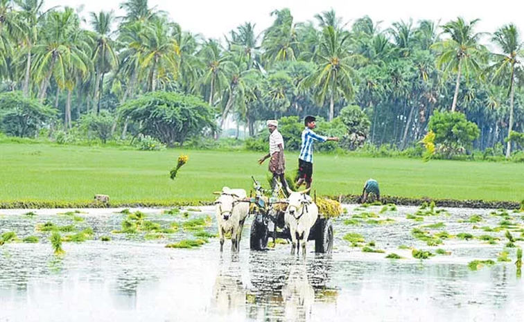 agri01.jpg