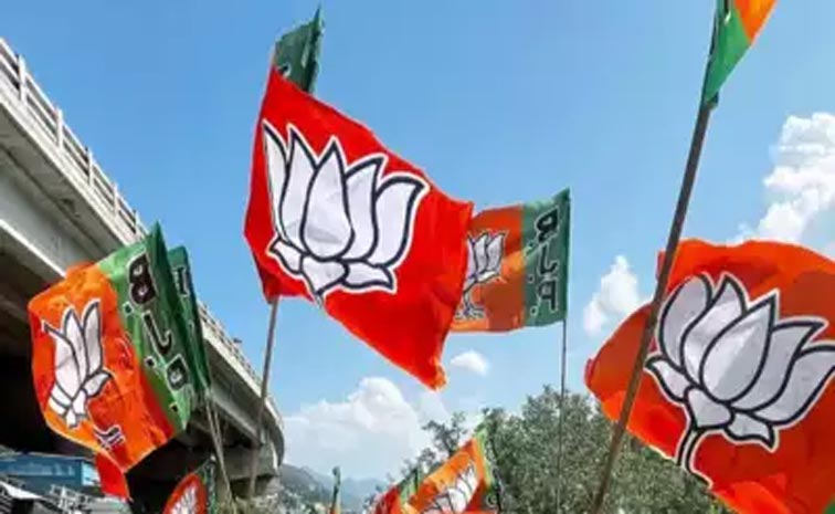 bjp.jpg