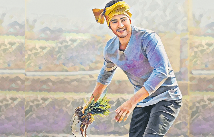 mahesh.jpg