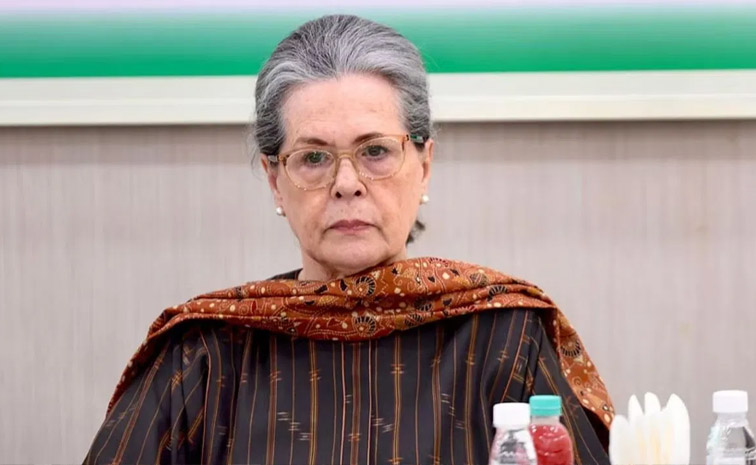 sonia-main.jpg