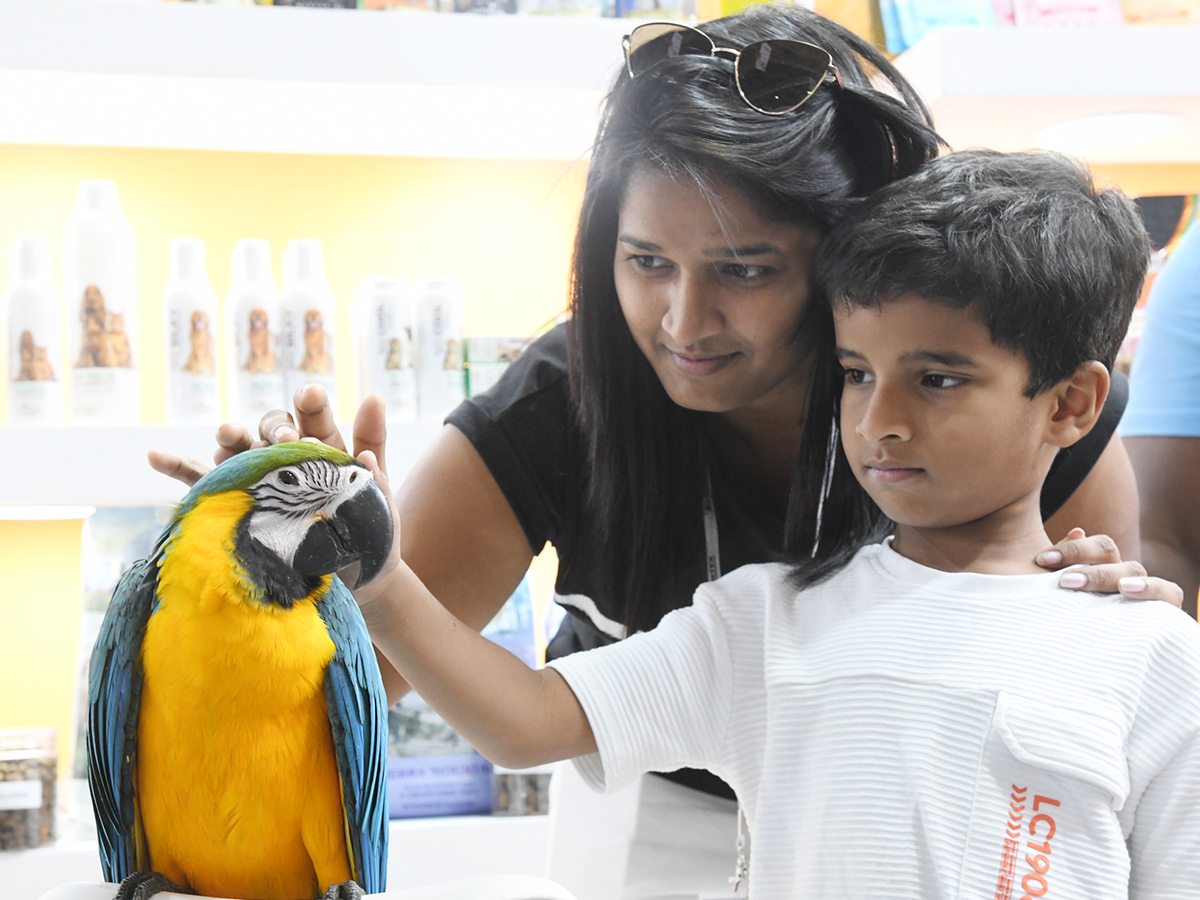 Pets_20Exhibition_20Events_20in_20Hyderabad_20Photos_1.jpg 1