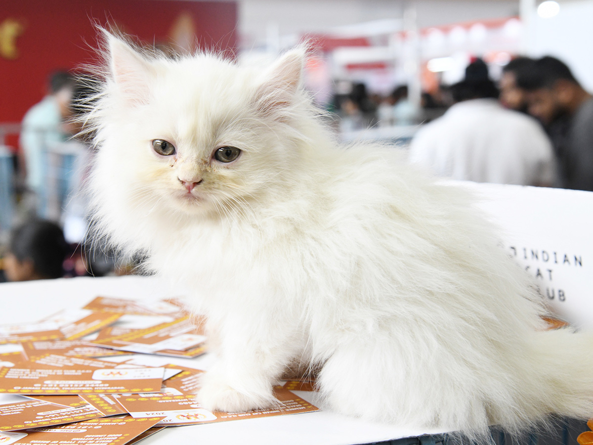 Pets_20Exhibition_20Events_20in_20Hyderabad_20Photos_12.jpg 10